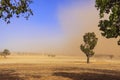 New South Wales Ã¢â¬â Dust Storm near Temora